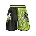 thumbnail image 4 of vastwit Kids Boys Muay Thai Shorts Boxing Kickboxing MMA Training Trunk Satin Fight BJJ Grappling Type E M/160, 4 of 7