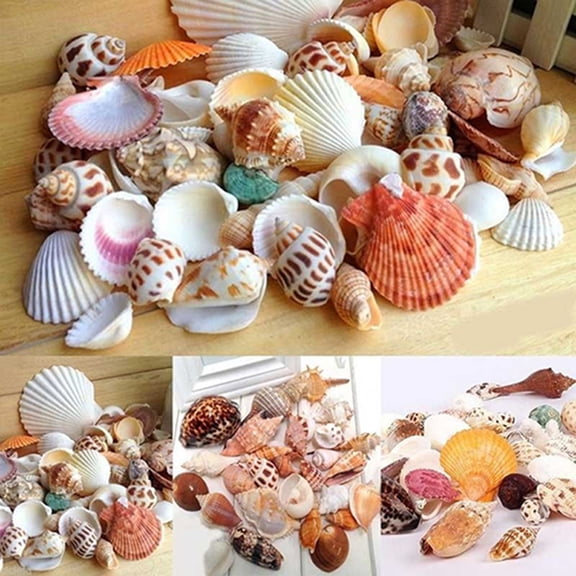 Yamaler 100g Mixed Mix Sea Shells Shell Craft Seashells Home Aquarium Nautical Decor