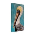thumbnail image 3 of Trademark Fine Art K.C. Grapes Pelican On Wood Pickets Canvas Wall Art - 24x47, 3 of 5