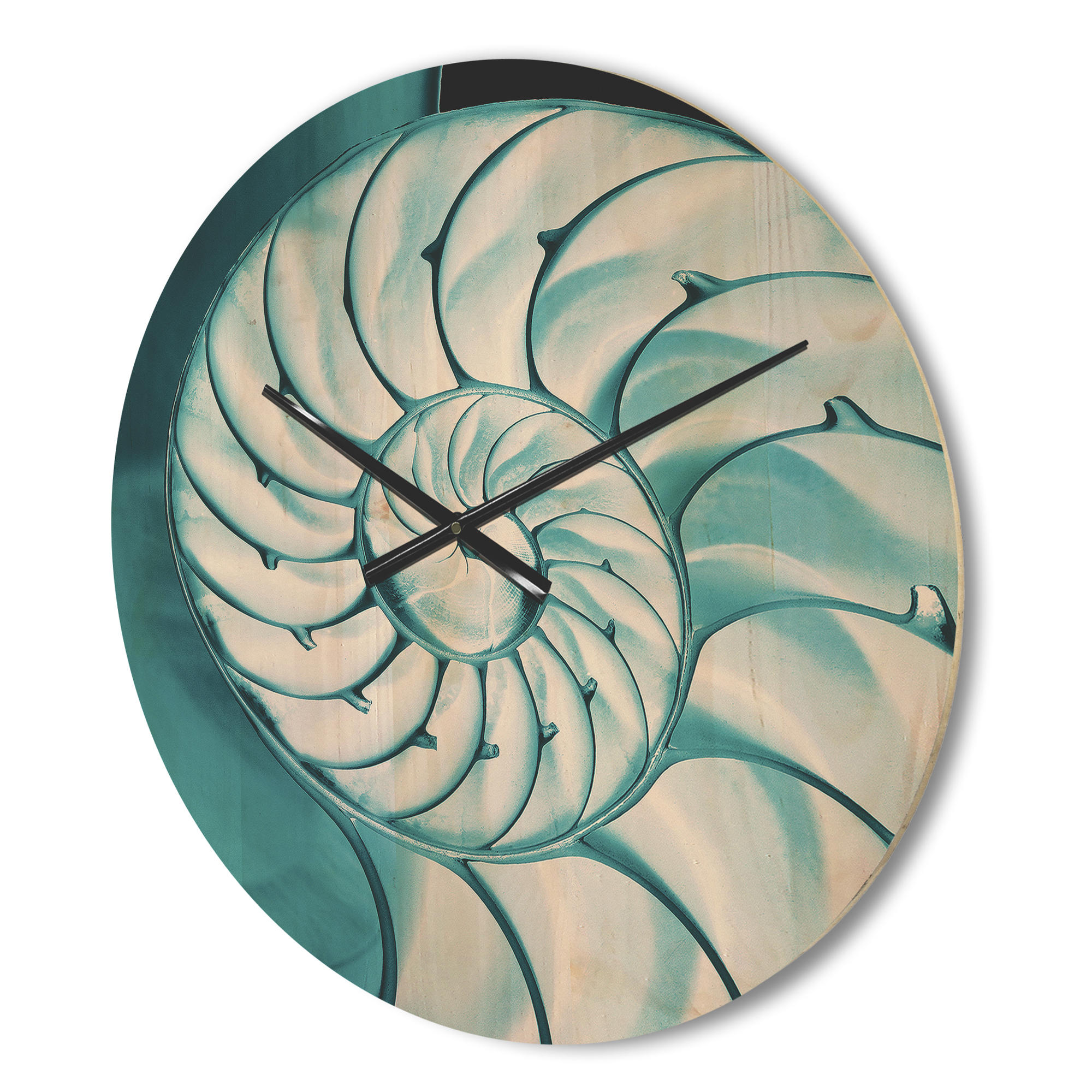 Designart 'Close Up of Chambered Nautilus Shell ' Modern Wood Wall Clock