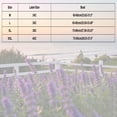 thumbnail image 2 of Njagoc3 Push Up Bras for Women Adjustable Straps Wireless Bra Breathable Soft Bra Seamless Daily Bra, 2 of 5