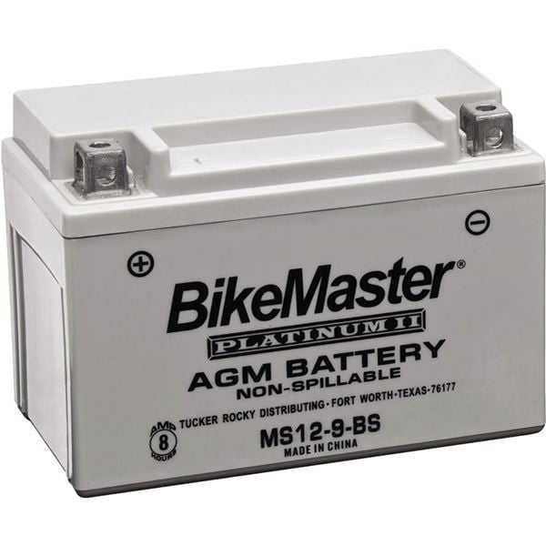 EDTM22A5B Standard Battery BikeMaster