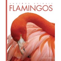 Amazing Animals: Flamingos