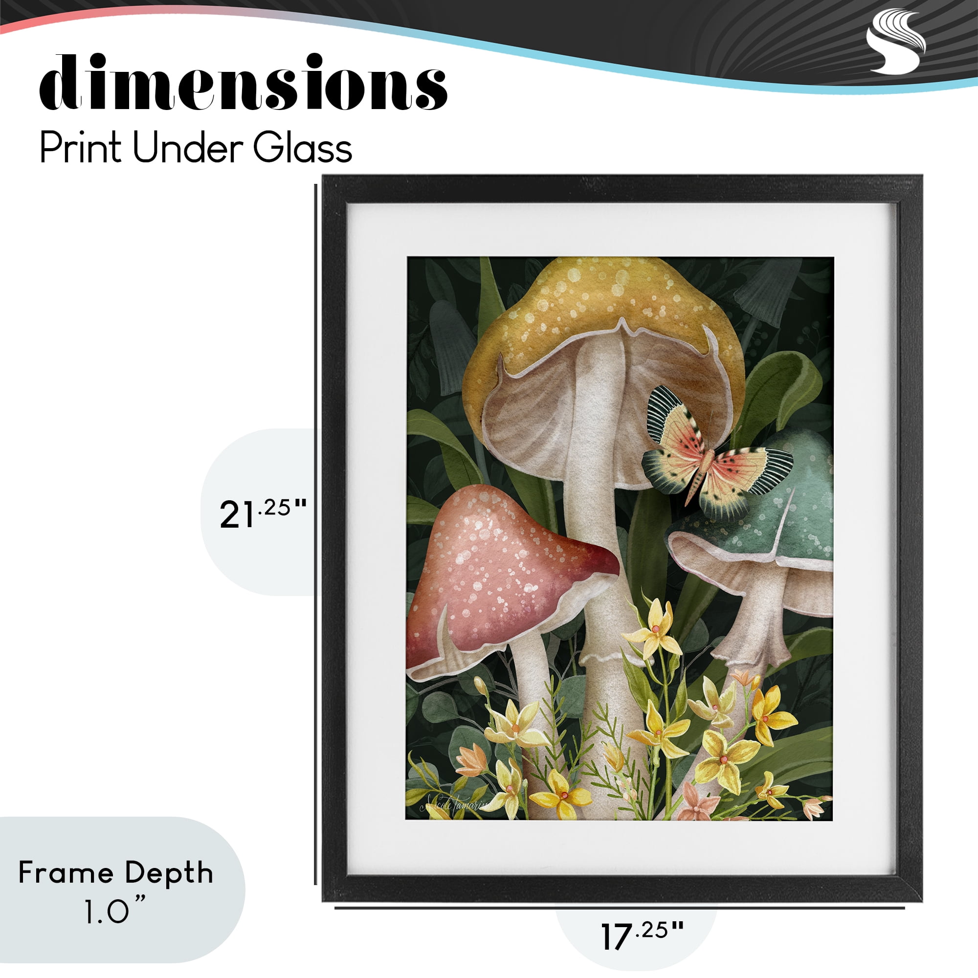 Stupell Industries Midnight Garden Mushrooms Black Framed Print Under Glass, design by Nicole Tamarin