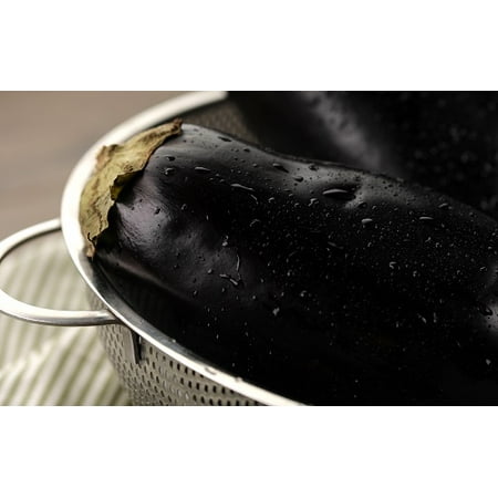 Proven Winners 4-Pack, 4.25 in. Eco+Grande, Classic Eggplant Live Vegetable Plant