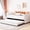 Beige, variant on Velvet Daybed with Trundle | For Small Spaces and Guests' Accommodation | Combine Style and Function in One Piece