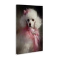 thumbnail image 2 of Stupell Industries Eclectic Just A Girl Who Loves Pink Canvas Art, 20 x 30, by Tina LeCour, 2 of 8