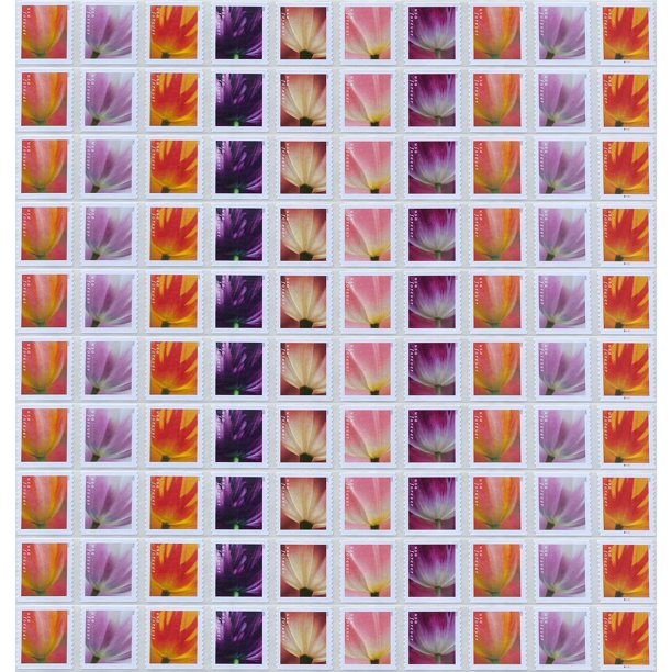 Sellos postales Tulip Blossom del Servicio Postal de los Estados Unidos x100