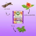 thumbnail image 3 of Dr. TEA Ashwagandha Tea - Peach Flavor -20 Tea Bags - Wellness Cleanse Tea, 3 of 6