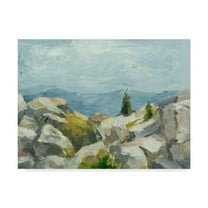 Trademark Fine Art 'Impasto Mountainside III' Canvas Art by Ethan Harper