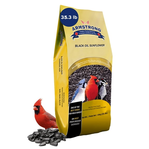 Armstrong Wild Bird Food Black Oil Sunflower Bird Seed, 35.3 Pounds - for Northern Cardinals, Blue Jays, Hairy Woodpeckers and Goldfinches - Ideal for Outside Feeders