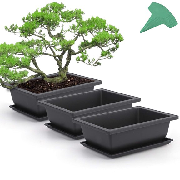 GROWNEER 3 Packs 9 Inches Bonsai Training Pots with 15 Pcs Plant Labels, Plastic Bonsai Plants Growing Pot for Garden, Yard, Office, Living Room, Balcony and More