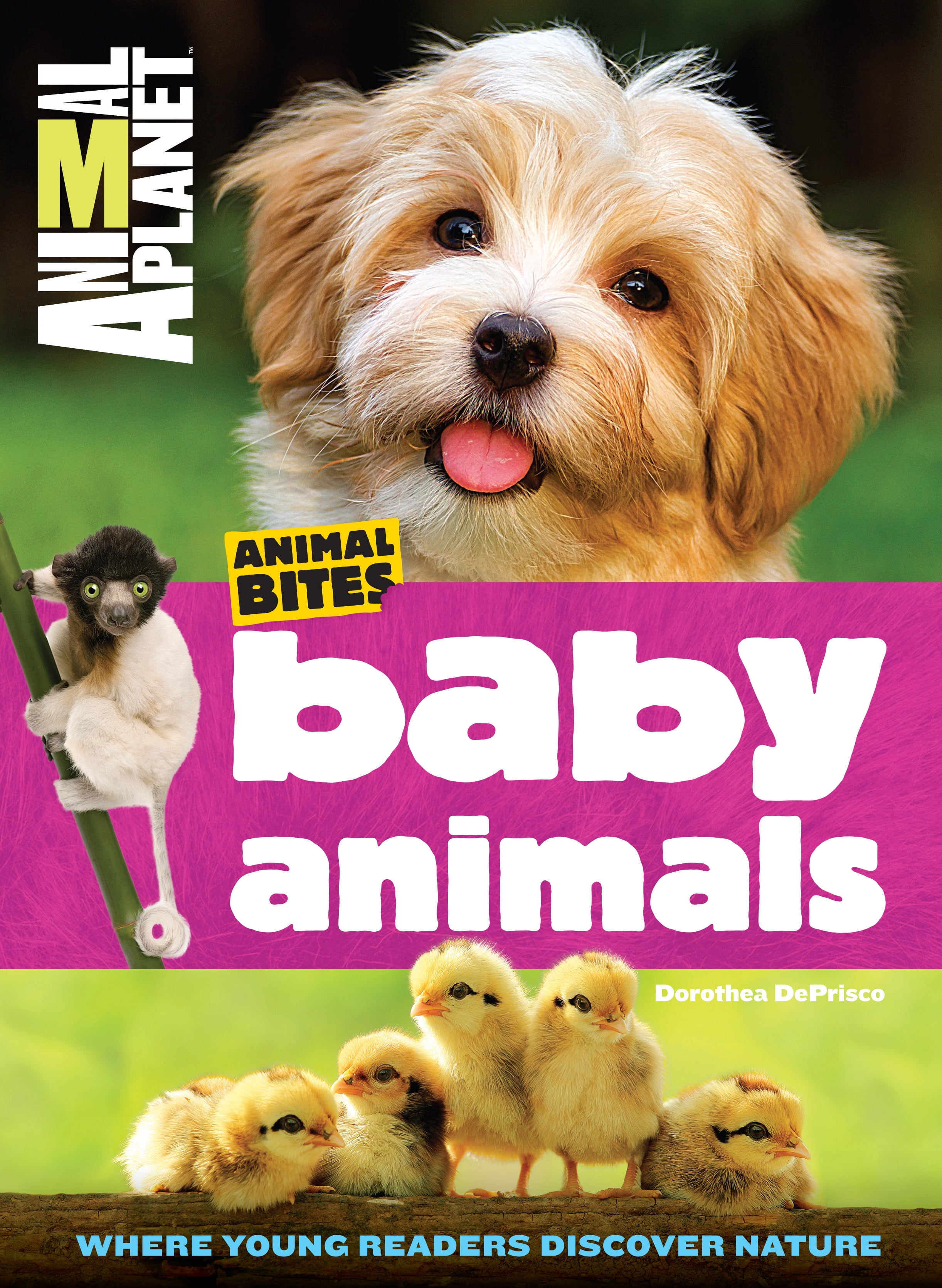 Baby Animals Animal Planet Animal Bites Walmart Com