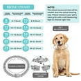 thumbnail image 4 of Gold Silver Cuban Chain Dog Collar Diamond Cuban Chain Pet Collar For Dog Cat Jewelry 10/14/16/18/20/24 Inch, 4 of 9