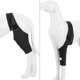 thumbnail image 4 of Rodilleras para mascotas, cubierta protectora transpirable para recuperación de discapacidad y lesiones, 4 of 5