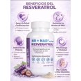 thumbnail image 2 of Zy-Life | Resveratrol NR + NAD+ Support | Energía Celular, Longevidad, Envejecimiento Saludable y Bienestar Integral | 120 Cápsulas, 2 of 2