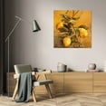 thumbnail image 3 of Linda Thompson 36x36 Gallery Wrapped Canvas Wall Art Titled - Lemon Branch, 3 of 4