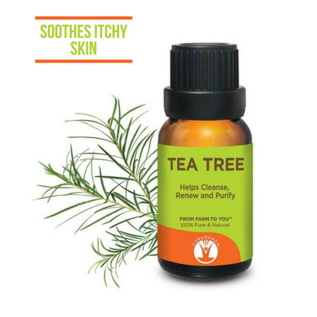 Gurunanda Tea Tree Essential Oil, 0.5 Oz (Best Teak Oil For Indoor Furniture)