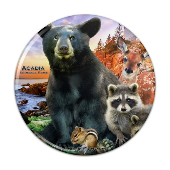Acadia National Park Maine ME Animals Bear Racoon Deer Moose Pinback Button Pin Badge