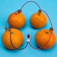 thumbnail image 1 of -1 Set Children Bio Energy Science Kit Potato Fruit Supply Electricity Experiment, 1 of 2