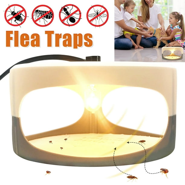 Flea Trap Sticky Dome Bed Bug Trap Get Rid Fleas Trap with 2 Glue Discs 2 Light Bulbs Natural