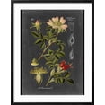 thumbnail image 2 of Art.com Custom Midnight Botanical I (R) Art Print by Vision Studio, Black Frame Wall Art, 23" x 29", 2 of 4