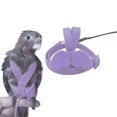 thumbnail image 4 of Bird Harness Leash Set Easy to Wear Creative Fashion Parrot Harness with Leash, 4 of 6
