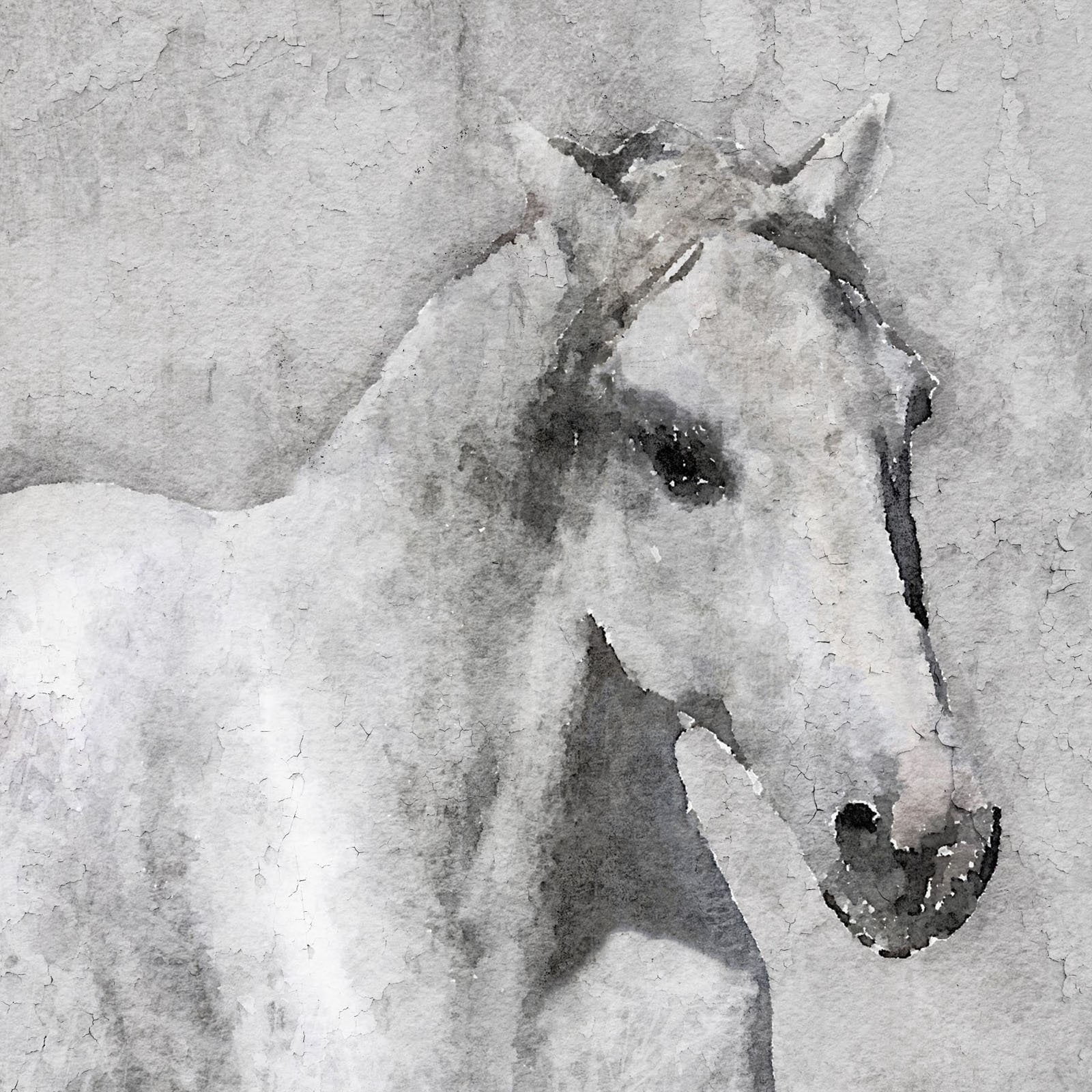 "Grey Elegant Horse" Painting Print on Wrapped Canvas