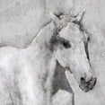 thumbnail image 4 of "Grey Elegant Horse" Painting Print on Wrapped Canvas, 4 of 7