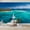 Color 4, variant on Wallpaper Florida wetland Airboat ride Everglades National Park Peel and Stick Wall Murals 100"H x 144"W Removable PVC Wall Paper Self-Adhesive Wall Paintings Art Decor for Bedroom Living Room