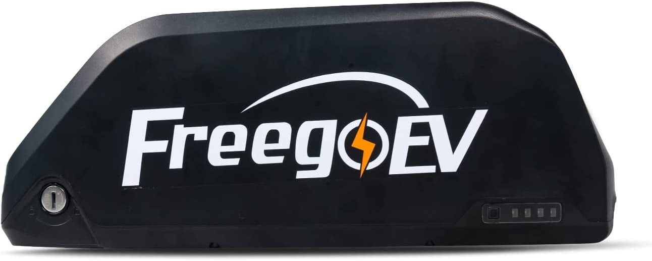 Buy Freego Ebike Portable Battery 48V 20Ah for DK200 Electric Bike