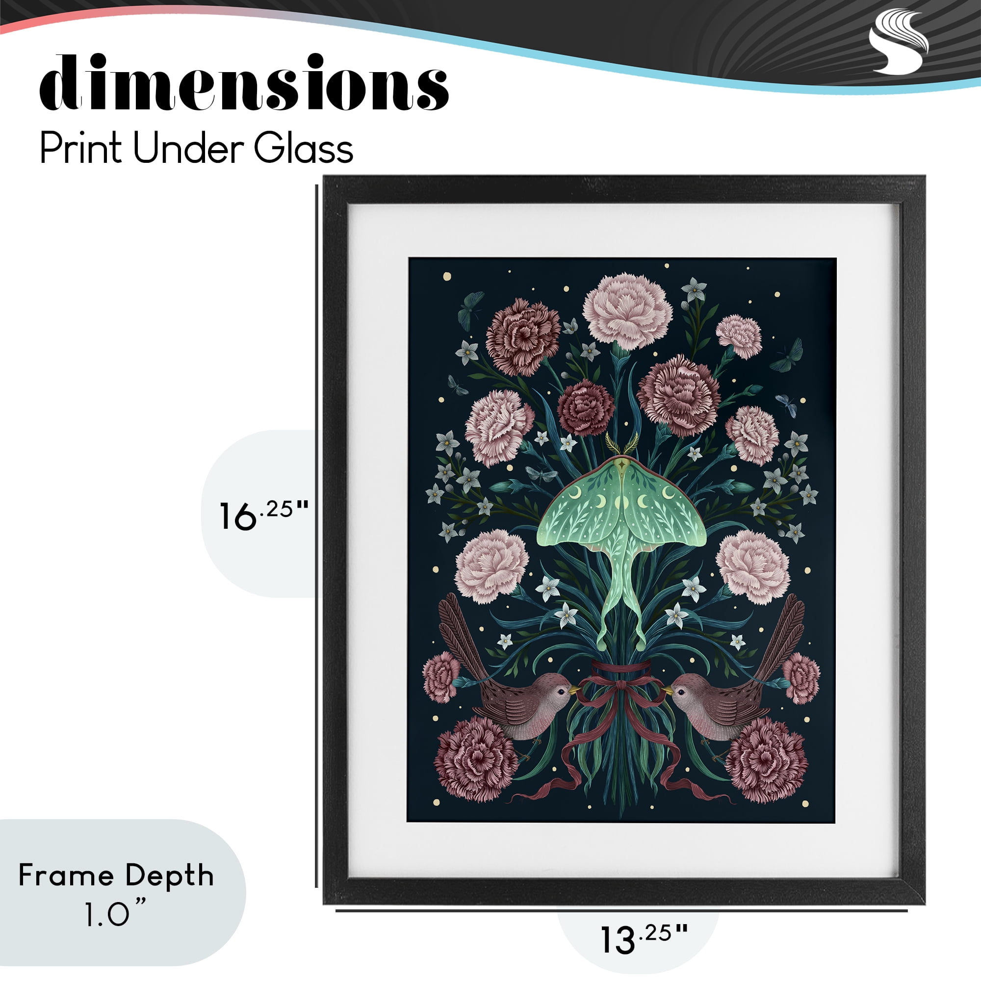 Stupell Industries January Carnations & Moth Black Framed Print Under Glass, design by Episodic Drawings