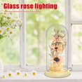 thumbnail image 2 of OUSITAID LED Sunflower Lamp In Glass Battery Operated Sunflower Glass Light Creative Eternal Sunflower in Glass Dome Decorative Artificial Preserved Flower Gift Blue, 2 of 8