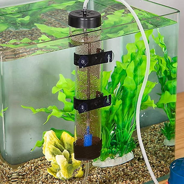 Brine shrimp tank discount