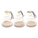 thumbnail image 4 of Interactive Cat Plush Toy - Keep Your Feline Entertained with a Spiral Spring Plate & Funny Ball!, 4 of 5