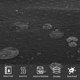 thumbnail image 5 of Cortina de Ducha Tela Negra Patrón de Cortina de Ducha Lavable Moho 180x180 cm Textil Grueso Pesado Impermeable No se Pega mientras se Muestra con 12 Anillas, 5 of 5