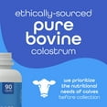 thumbnail image 4 of Zena Nutrition Colostrum Premium Capsules, Gluten Free, Unflavored, 1500mg Pure Colostrum, 90 Count, 4 of 10