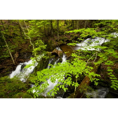 Spring waterfalls on Horse Pasture Brook Wentworth Valley Nova Scotia Canada Poster Print by Irwin Barrett  Design