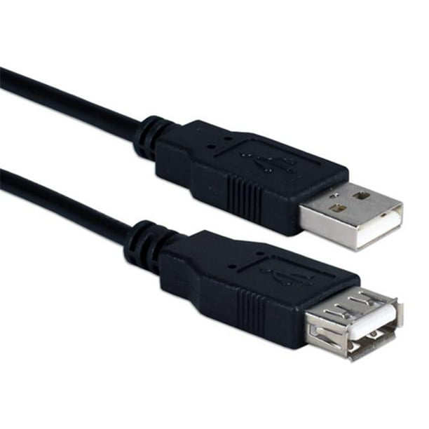 QVS CC2210C-10 10 Ft. USB 2.0 Haut Débit 480Mbps Noir Câble d'Extension