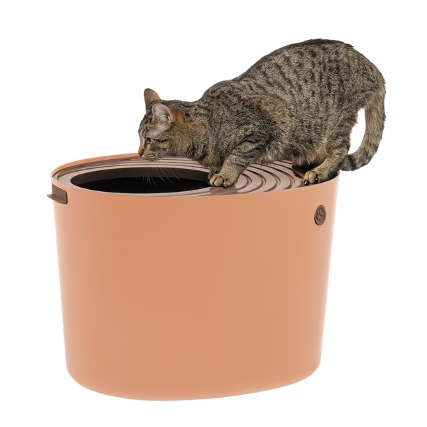IRIS USA, Top Entry Cat Litter Box, Orange/Brown