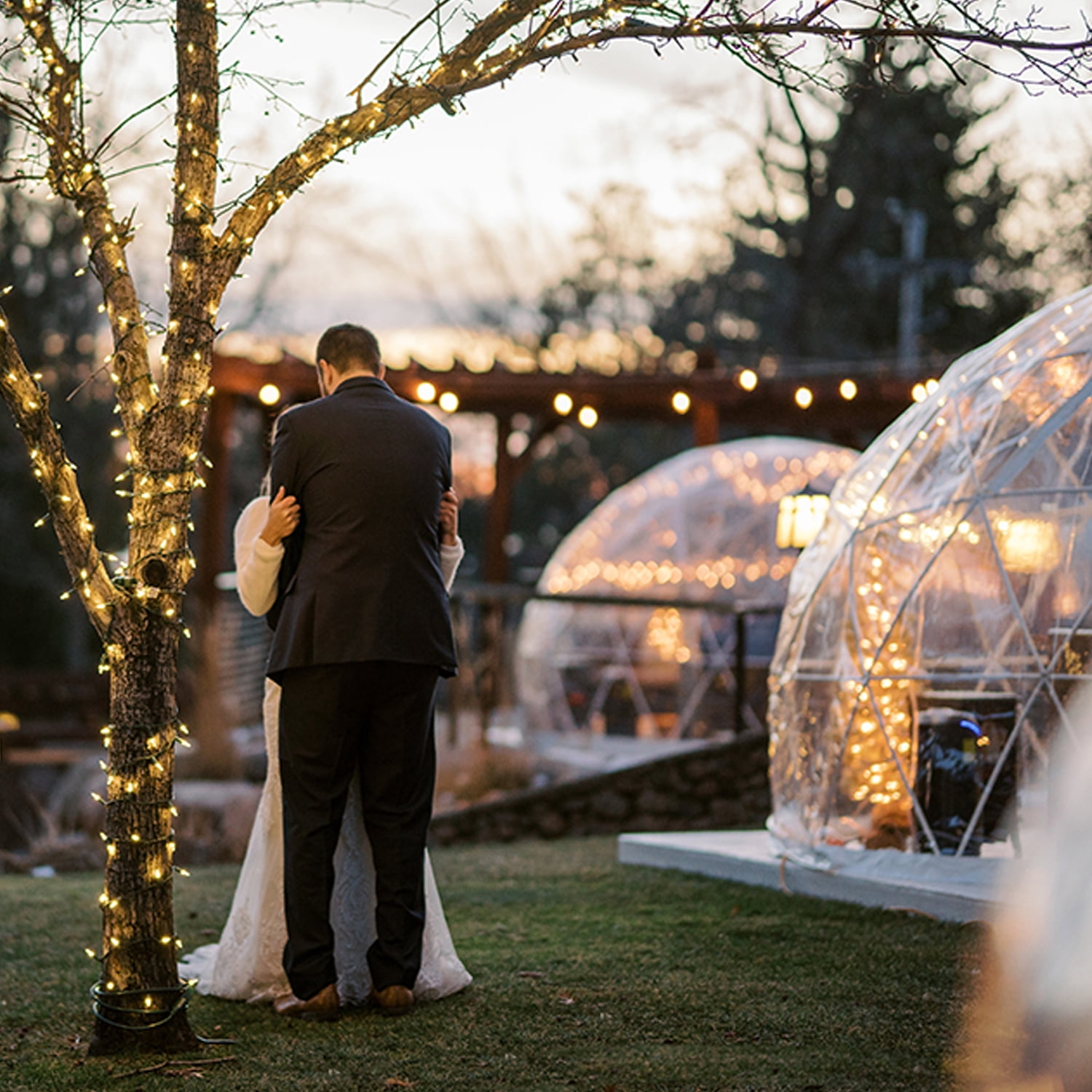Garden Dome Tent 12FT Clear Tent Outdoor for Garden, Weather Proof Pod Camping Patio Tent for Backyard Canopy Gazebos Screen House Room Lean to Greenhouse