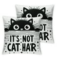 thumbnail image 2 of Funny Cat Gifts, Black Cat Mom Gifts, Funny Quote It’s Not Cat Hair It’s Kitty Glitter  Linen Throw Pillow Cover, Cat Gifts for Cat Lovers, Cat Gifts for Women, 2 of 6