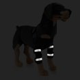 thumbnail image 6 of Frusde Dog Knee Brace, Adjustable Dog Double Rear Leg Brace with Reflective Seat Belts Support-Red, 6 of 7