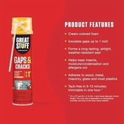 Great Stuff 157911 Insulating Foam Sealant, 20 Ounce, Ivory Pack of 2 — Residential Use, Standard Application