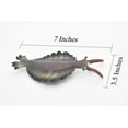thumbnail image 2 of Anomalocaris, Toy, Prehistoric, Fossil, Arthropods, Realistic Rubber Figure, Model, Educational, Animal, Hand Painted Figurines, 7" CH047 BB77, 2 of 8
