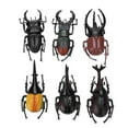 thumbnail image 4 of Wchiuoe Accessoires Durables, Modèle d'Insecte, pour la Journée, 4 of 8