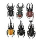thumbnail image 3 of Juguete de insecto escarabajo, 6 piezas de simulación de insecto escarabajo, accesorios de Halloween, juguete de insecto, el mejor en su clase, 3 of 14
