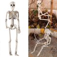 thumbnail image 2 of 36cm Lifelike Human Bones Halloween Skull Skeleton Decoration Anatomical Anatomy Model Scary Props, 2 of 5