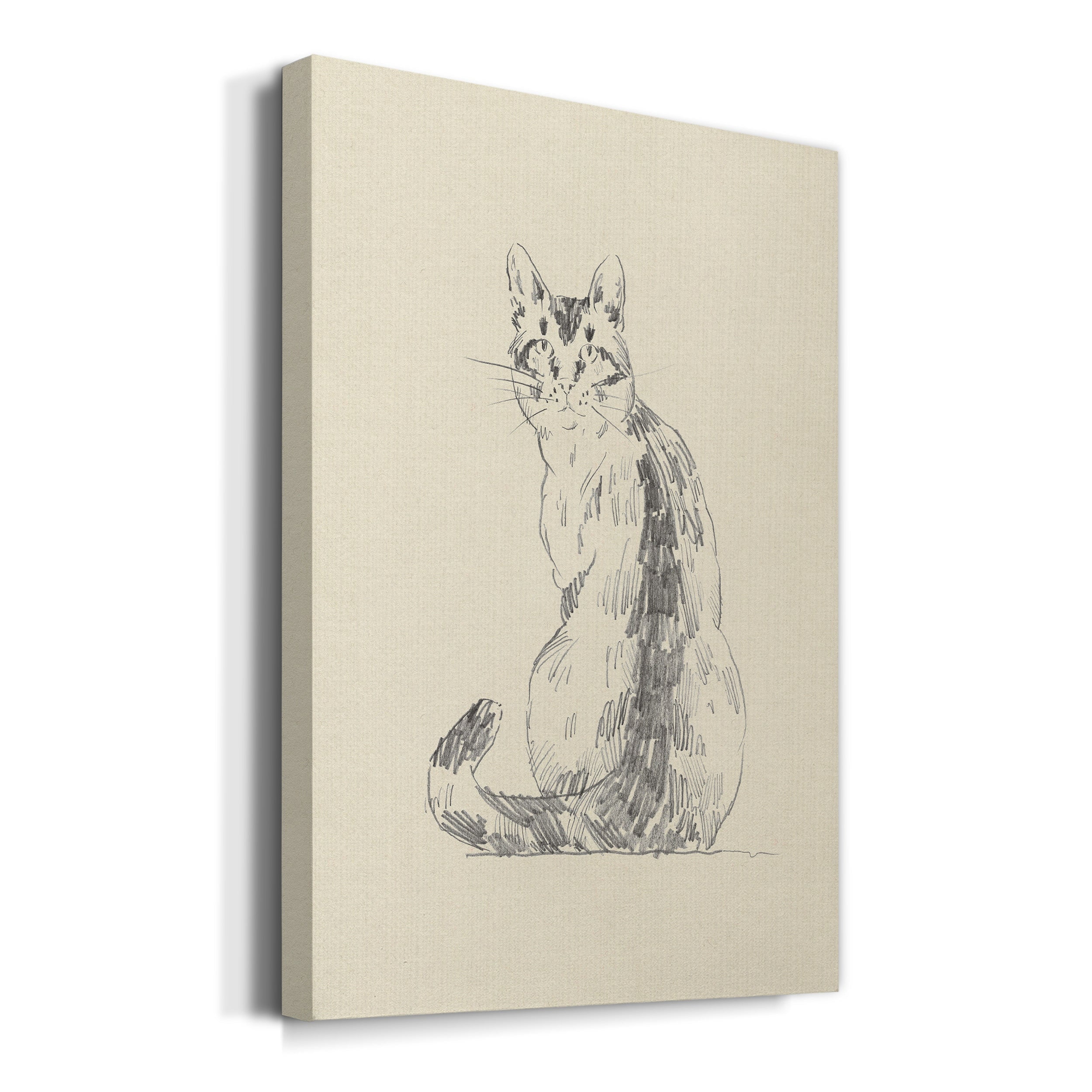 House Cat V Premium Gallery Wrapped Canvas - Ready to Hang