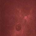 thumbnail image 1 of Ahgly Tapis de Zone Carré Transitionnel Lavable en Machine, 5 Pieds Carré, 1 of 7